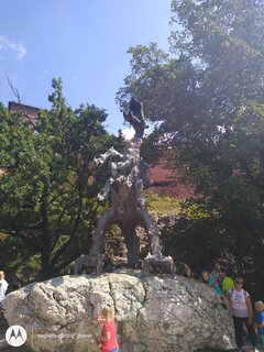 IMG_20200729_114427274.jpg