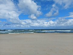 20200730_110437.jpg