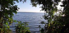 20200731_182143.jpg