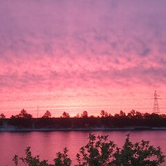 IMG_20200530_044910_501.jpg