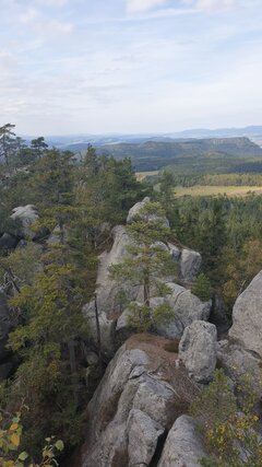 20190923_135116.jpg