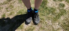 IMG20200801133457.jpg
