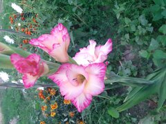 20200801_201751.jpg