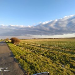 IMG_20200419_194459_118.jpg
