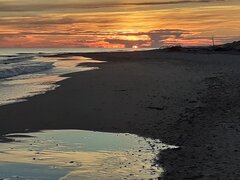 20200802_050729.jpg