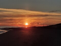 20200802_051203.jpg
