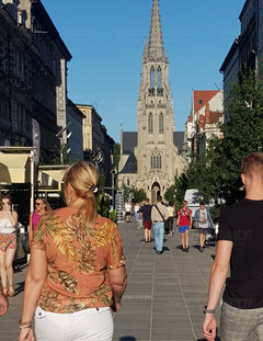 20200802_142938.jpg