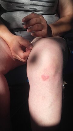 20200802_073733.jpg