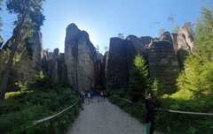 20200730_104125.jpg