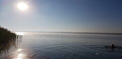 20200802_064952.jpg