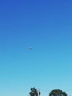 IMG_20200701_064334.jpg