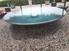 20200804_113809.jpg