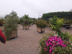 20200804_113714.jpg