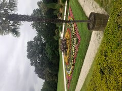 20200805_113406.jpg