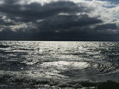 IMG_0528.JPG