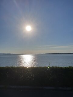 20200805_182204.jpg