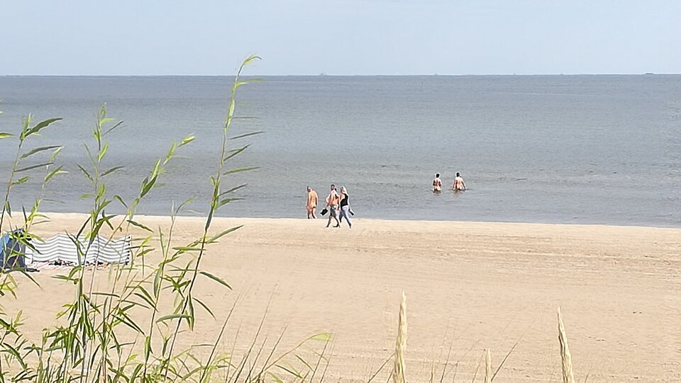 IMG_20200728_103441.jpg - plener35