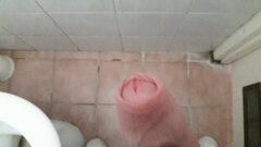 20200806_152323.jpg