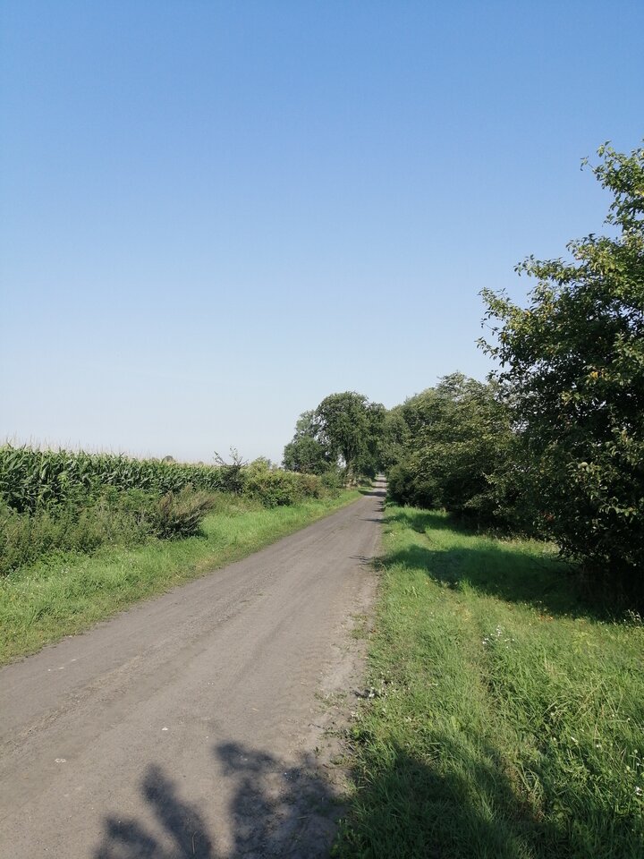 15967858225098386653799004769607.jpg - NieprzecietnyGosc89