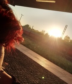 20200808_061545.jpg