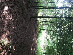 20200808_160859.jpg