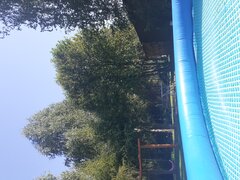 20200808_154651.jpg