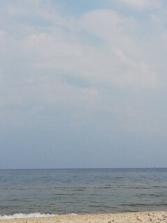 IMG_20200809_104643.jpg