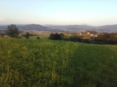 20200809_193040.jpg