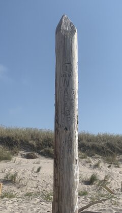 673CCA13-65B7-4628-B9DB-5B61A2A1D7D4.jpeg