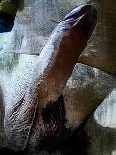 JPG_1597212467443.jpg