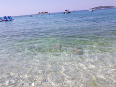 20200811_125632.jpg