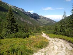 IMG_20200811_142157.jpg