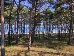 IMG_20200812_210121.jpg