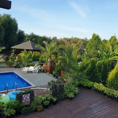IMG_20200814_080719_669.jpg