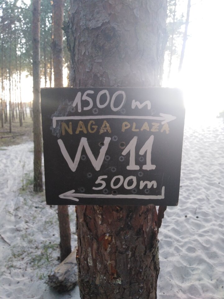 Plaża N - wolny_swawolny
