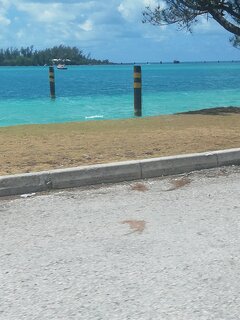 IMG_20200815_132551.jpg
