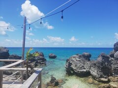 IMG_20200815_140244.jpg