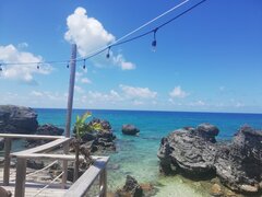 IMG_20200815_140247.jpg