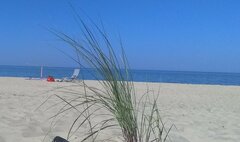IMG_20200815_130158.jpg