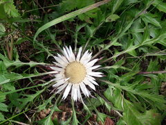 20200815_114515.jpg