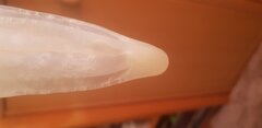 20200816_175959.jpg