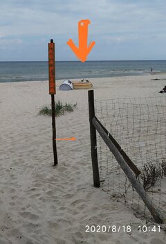 IMG_20200818_104936.jpg