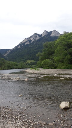20200818_143726.jpg