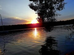 20200818_190954.jpg
