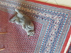 20200731_090303.jpg