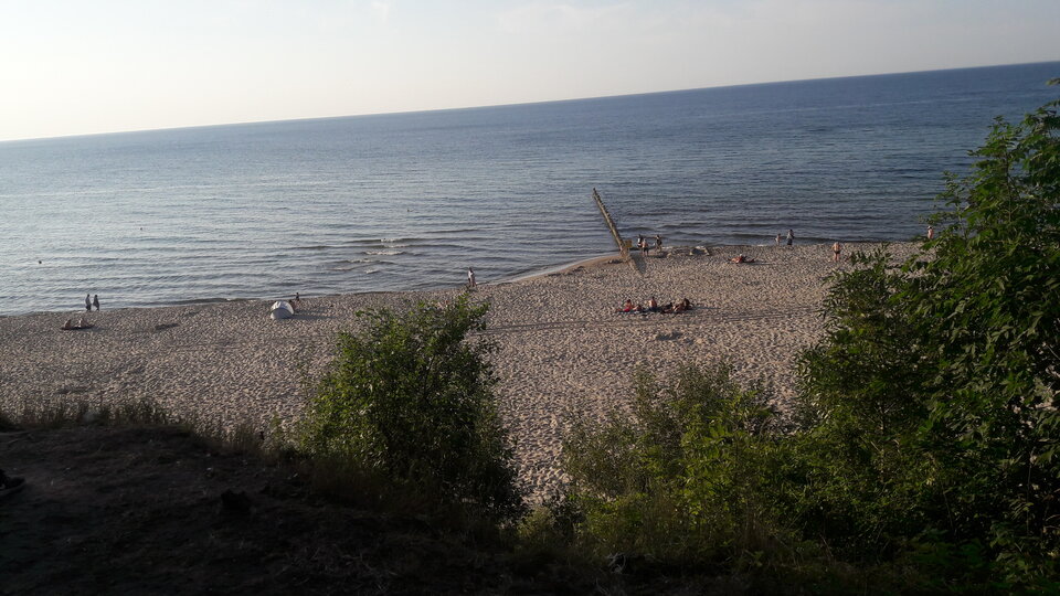 20200817_184414.jpg - Malaczarna78