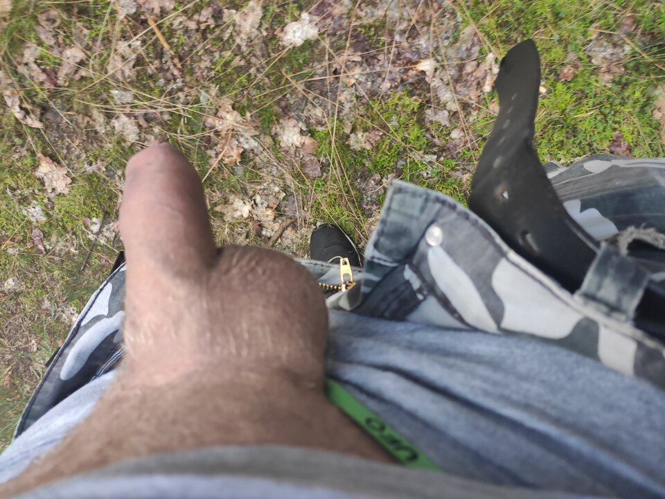 Poranny spacer po lesie natura się budzi do życia. A oprucz ko - Tomasso79