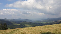 20200820_105309.jpg