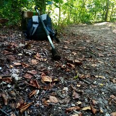IMG_20200821_113407_741.jpg