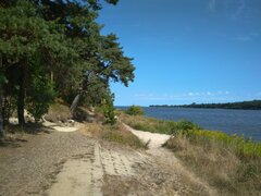 IMG_20200820_113547.jpg
